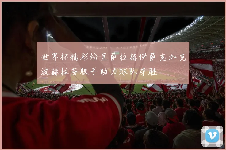 世界杯精彩纷呈萨拉赫伊萨克加克波赫拉芬联手助力球队夺胜